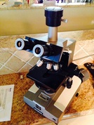 Used Olympus BH Trinocular Phase Contrast Microscope