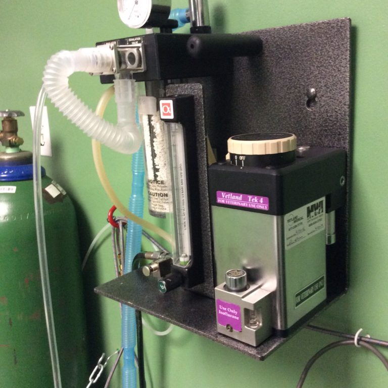 Wall Mount Anesthesia | VEEN America - Veterinary Equipment Exchange ...