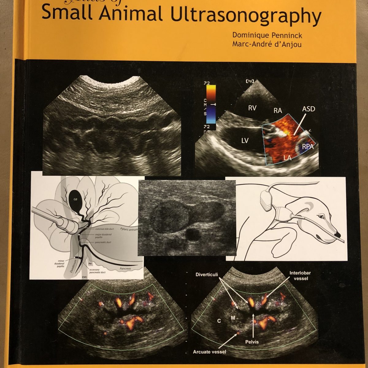 Ultrasounds | VEEN America - Veterinary Equipment Exchange Network