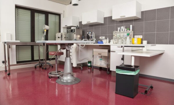 Modern clinical lab with a stainless steel table, equipment, white cabinets, and a black trash can on a red floor.