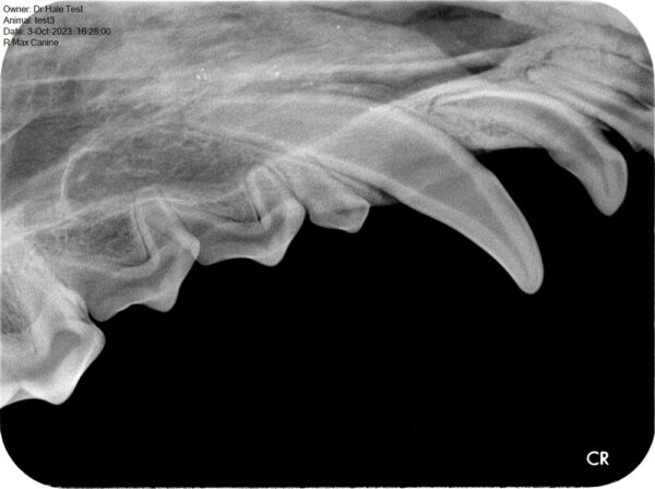 Apixia Digital Dental Radiology Scanner sample image 16