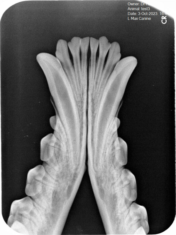 Apixia Digital Dental Radiology Scanner sample image 20