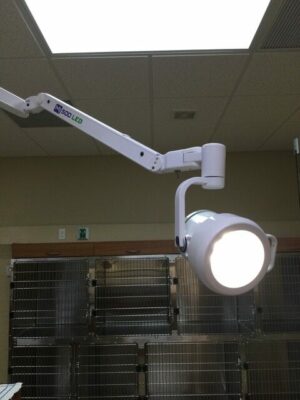 MI 500 LED Treatment Light
