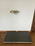 healthometer-walk-on-scale