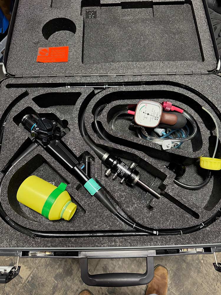 Olympus Veterinary Fiberscope