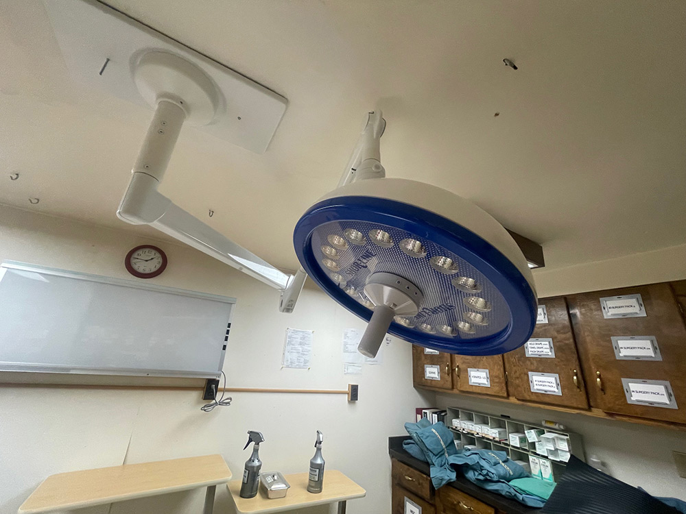 Shor-Line LED Ceiling Surgical Lamp