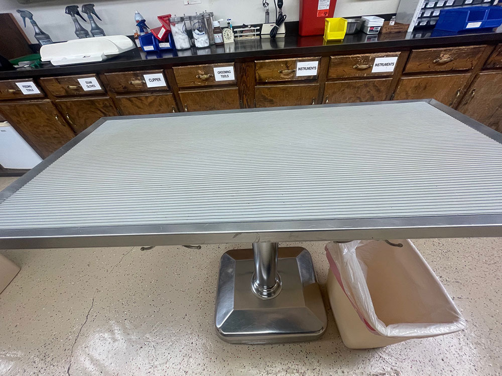 Shor-Line Pedestal Exam Table