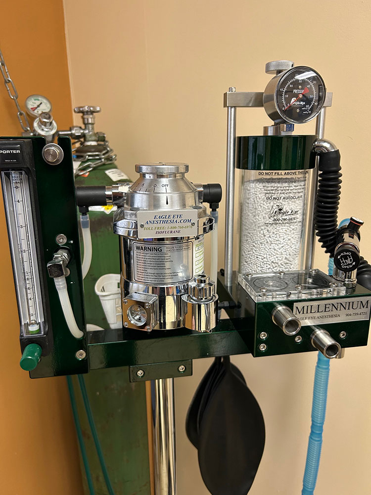 Eagle Eye Anesthesia Machine
