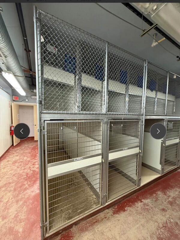 Mason Kennel Runs
