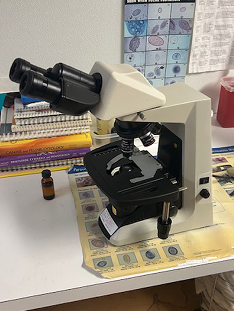 Nikon Eclipse E300 LED Binocular Microscope
