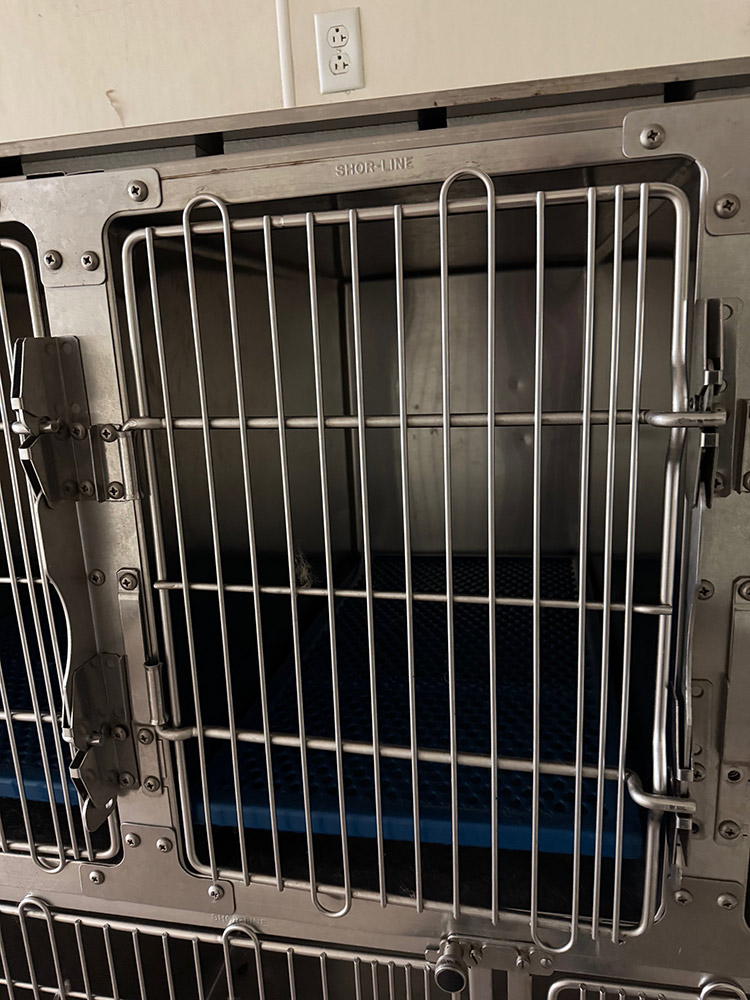 Shor-Line 18" x 24" Stainless Cage