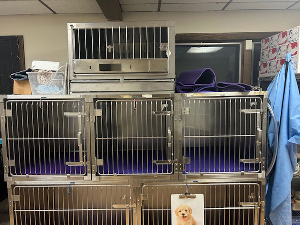 Unbranded Stainless Cage Arrangement