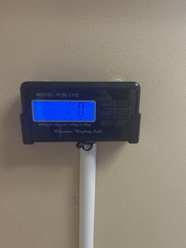 Walk-On Platform Scale (Model PCR-3115)