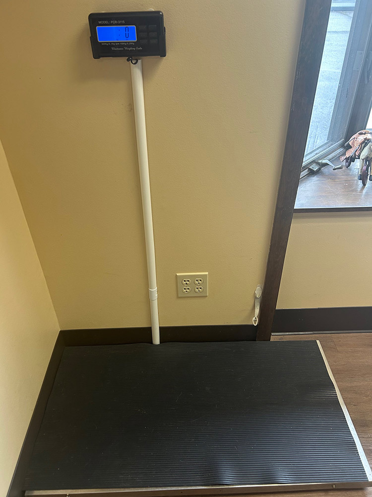 Walk-On Platform Scale (Model PCR-3115)