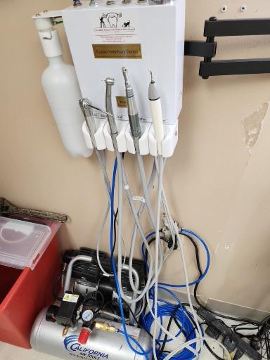 Cuspid Dental Wall-Mounted Air-Driven Unit