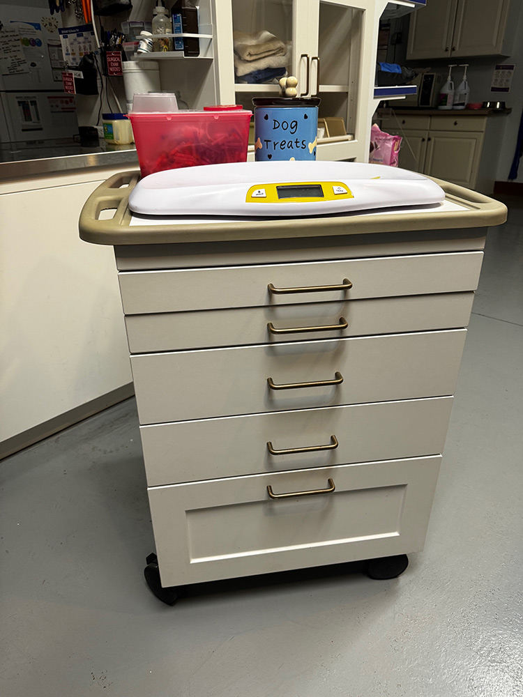 Midmark Synthesis Mobile Treatment Cabinet