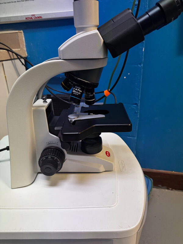 Motic Microscopes BA210E Binocular