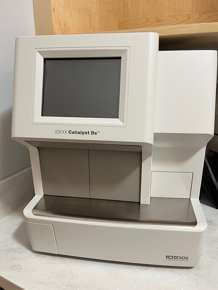 IDEXX Catalyst Dx laboratory chemistry analyzer on a bench with a front-loading tray and display screen.