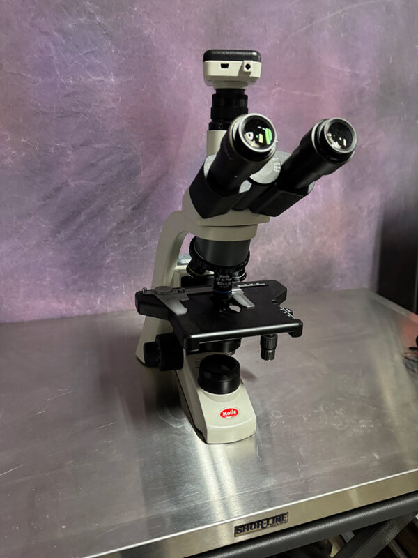 Motic compound microscope with two eyepieces and stage on a stainless lab table.