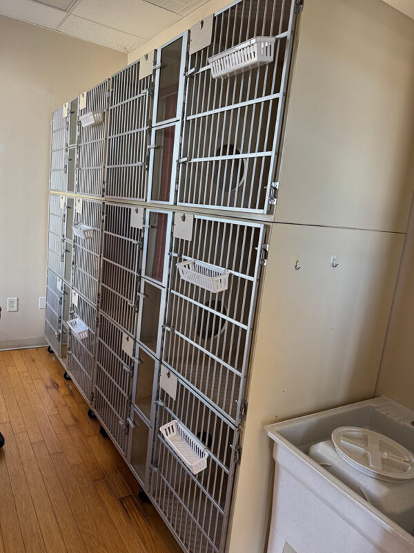 snyder-cat-condos-modular-veterinary-housing-system