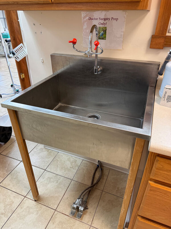Stainless Scrub Sink