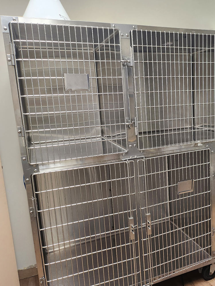 Two stacked stainless steel animal cages with barred doors and locking latches on wheels.
