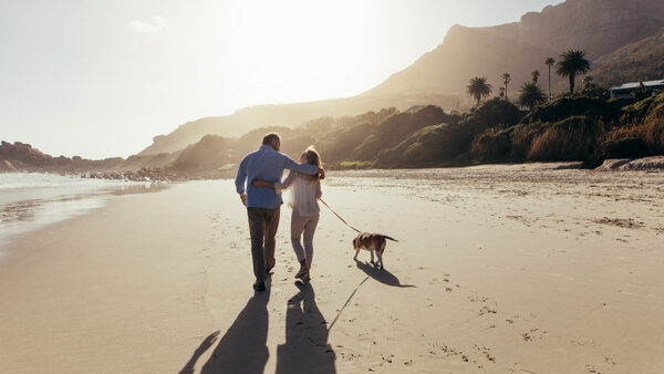 Couple walking on the beach with their dog