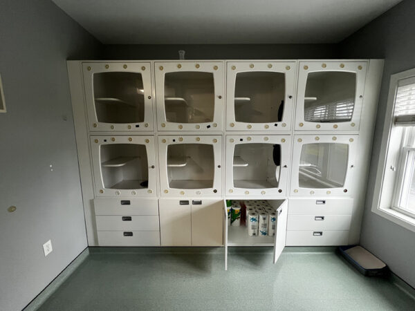 8-unit-cat-condo-housing-system-with-raised-platforms-and-storage