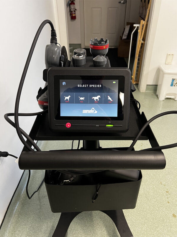companion-ctx-class-iv-veterinary-therapy-laser-new-2025-model